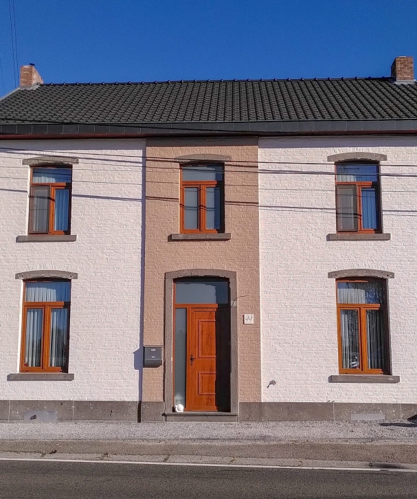 Tradinnove-Peinture-Elaerts-Facade-après-traitement-et-mise-en-peinture