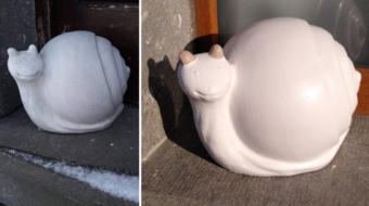 Tradinnove-Peinture-Elaerts-Soin-des-détails-Posture-Escargot-avant-après